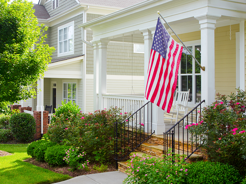 flag image