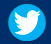 twitter logo